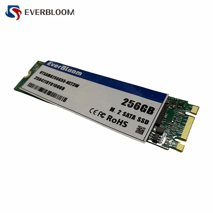 SATA3 M 2 SSD suppliers